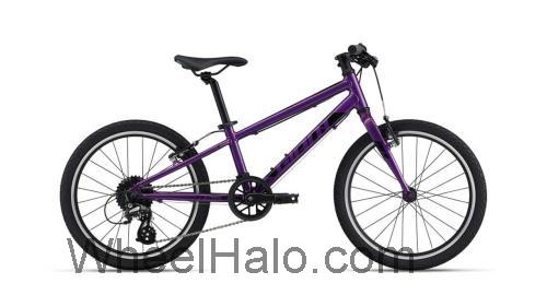 Giant ARX 20 specs and reviews